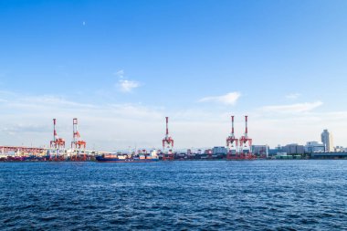 Osaka, Japonya; 11 10 2024: Japon adası Honshu 'daki Osaka limanında büyük vinçler, deniz kargoları, büyük liman kenti ve ticaret merkezi,