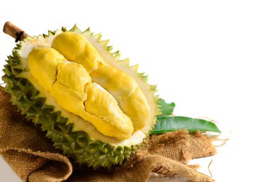 Olgun Durian meyvesi ya da Durio zibethinus, sarı kremsi posalı, beyaz arka planda izole. Güneydoğu Asya 'da meyvelerin kralı olarak bilinir. Tayland, Malezya ve Endonezya 'da popülerdir..