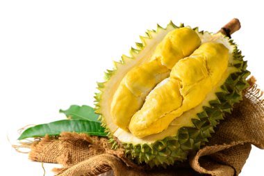 Olgun Durian meyvesi ya da Durio zibethinus, sarı kremsi posalı, beyaz arka planda izole. Güneydoğu Asya 'da meyvelerin kralı olarak bilinir. Tayland, Malezya ve Endonezya 'da popülerdir..