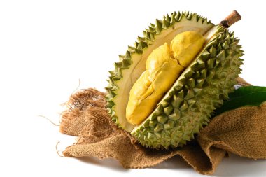 Olgun Durian meyvesi ya da Durio zibethinus, sarı kremsi posalı, beyaz arka planda izole. Güneydoğu Asya 'da meyvelerin kralı olarak bilinir. Tayland, Malezya ve Endonezya 'da popülerdir..