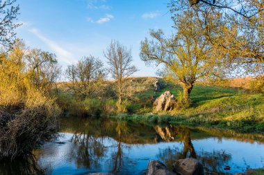 Suya yansıyan bahar ağaçları