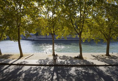 Paris şehri, Fransa.