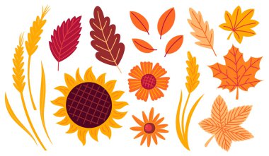 Sonbahar rahat tasarım elementleri. Düşen yapraklar, yapraklar ve çiçekler. Düz Vektör illüstrasyonu izole edildi