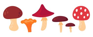 Mantar seti. Yenilebilir ve zehirli mantarlar, mantarlar, porcini mantarları, sinek mantarları. Sonbahar rahat tasarım elementleri. Düz Vektör illüstrasyonu izole edildi