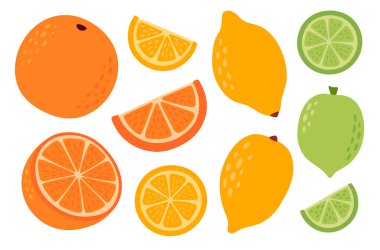 Farklı narenciye seti. Limon, portakal, limon, greyfurt. Tam, yarım ve dilimler. Organik vitamin ve sağlıklı besin toplama. Düz Vektör illüstrasyonu