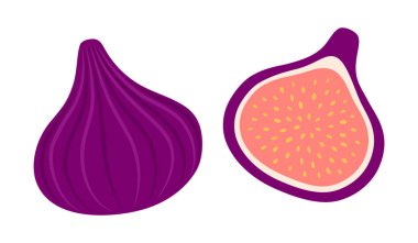 İncir seti. Yarı ve tüm egzotik meyveler. Organik vitamin ve sağlıklı besin toplama. Düz Vektör