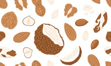 Çeşit çeşit fındık ve tohumlar kusursuz desen. Ceviz, badem, fındık, fıstık, fıstık, fıstık, Hindistan cevizi, macadamia ve ayçiçeği tohumu. Vejetaryen gıda malzemeleri. Beyaz üzerine vektör illüstrasyonu