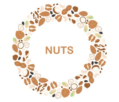 Fındık ve çekirdekler daire şeklinde. Ceviz, badem, fındık, fıstık, fıstık, fıstık, makadami ve ayçiçeği tohumu. Vejetaryen yemek sınırında. Düz Vektör illüstrasyonu izole edildi