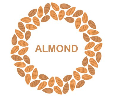 Çember şeklinde fındık. Badem sınırında. Düz Vektör illüstrasyonu izole edildi