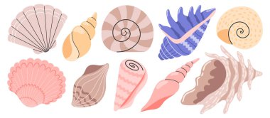 Deniz kabukları, yumuşakçalar, deniz salyangozu. Okyanus egzotik deniz kabukları koleksiyon çıkartmaları. El çizimi vektör çizimi izole edildi