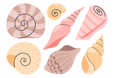 Deniz kabukları, yumuşakçalar, deniz salyangozu. Okyanus egzotik deniz kabukları koleksiyon çıkartmaları. El çizimi vektör çizimi izole edildi