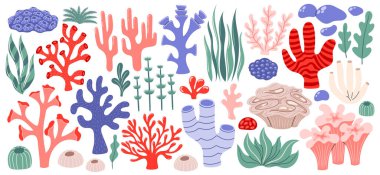 Mercan ve yosun seti. Okyanus bitkileri, su altı bitkileri, süngerler ve martılar. Su bitkisi, yosun, tropikal mercan resifi elementleri. Düz vektör illüstrasyonu