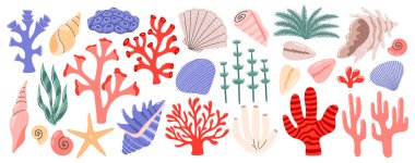 Mercan, yosun seti ve deniz kabukları. Okyanus egzotik deniz kabukları, bitkiler, tropikal mercan resifleri. Düz vektör çizimi izole edildi
