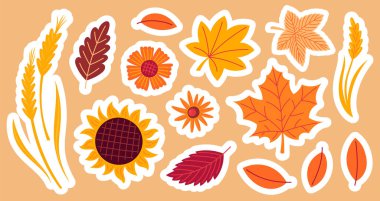 Sonbahar konforlu çıkartma seti. Düşen yapraklar, yapraklar ve çiçekler. El çizimi düz vektör