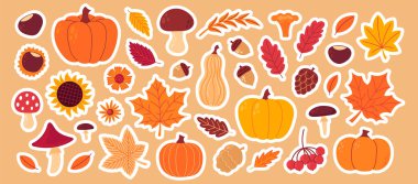 Sonbahar konforlu çıkartma seti. Sonbahar yaprakları, yapraklar, çiçek, kestane, meşe palamudu, böğürtlen, elma, balkabağı mantarı koleksiyonu.