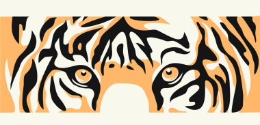 Look tiger. Color picture, side view on a white background. Vector image.