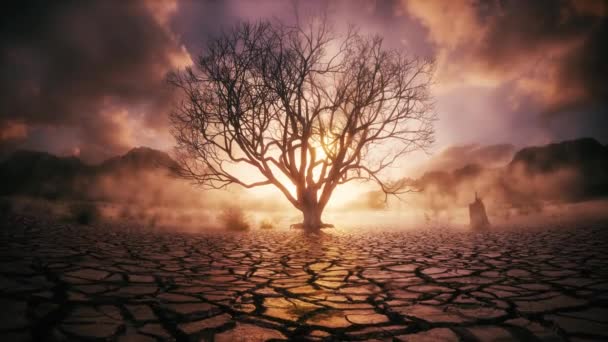Ilmastonmuutos Ilmaston Lämpeneminen Kuihtunut Puu Aavikolla Kuiva Muta Säröillä Maa — kuvapankkivideo