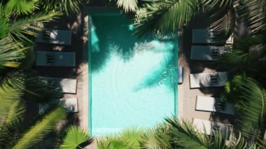 Palmiye ağaçları ve manzaralı lüks bir yüzme havuzu. Yüzme havuzunun hava aracı görüntüsü