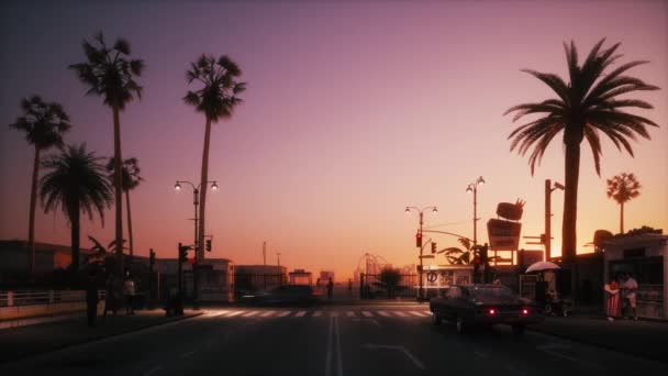 带有棕榈树的紫色日落 加利福尼亚的晚间海滩 棕榈和黄昏的天空 加州暮色的天空中 棕榈的轮廓 圣莫尼卡码头 — 图库视频影像