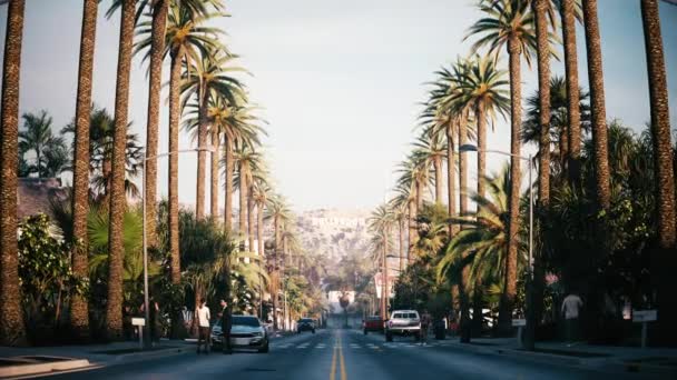 好莱坞的标志来自海滩木车道 海滩木开车 洛杉矶天使 加利福尼亚的棕榈树小巷 — 图库视频影像