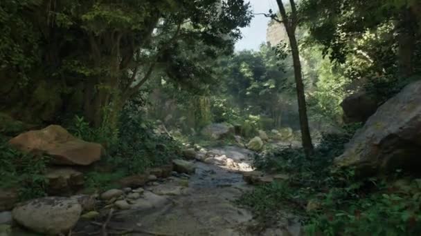 Viidakon Sademetsän Tausta Kauniita Puita Tiheässä Metsässä Liikkuminen Trooppisen Metsän kuvapankin filmiä