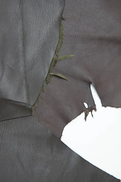 Närbilder Läderprover Med Olika Texturer För Skräddare — Stockfoto