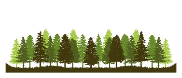 松林ベクトルの森緑の自然シルエット風景背景パノラマ常緑背景 — ストックベクタ
