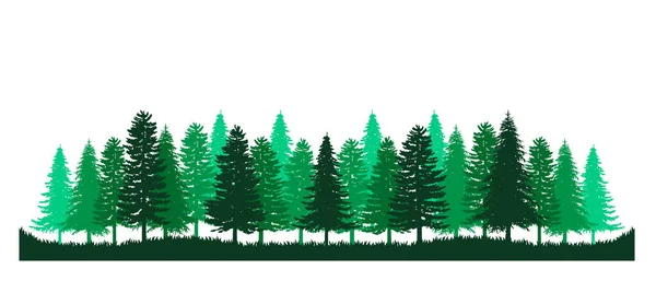 Pino Vettore Foresta Verde Natura Silhouette Paesaggio Sfondo Panorama Sempreverde — Vettoriale Stock