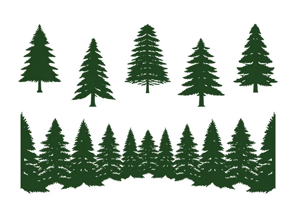 Çam ağacı, daima yeşil orman silueti Clipart vektörü, koleksiyon beyaz arkaplanda izole edildi.
