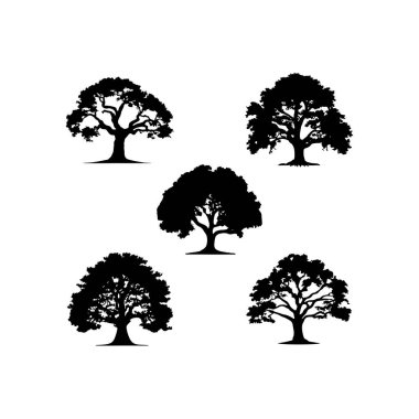 Meşe ağaçlarının meşe ağacı logosu siluetleri Doğal büyüme bitki sembolü, çevre orman element ikonu koleksiyonu