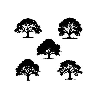 Meşe ağaçlarının meşe ağacı logosu siluetleri Doğal büyüme bitki sembolü, çevre orman element ikonu koleksiyonu