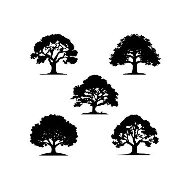 Meşe ağaçlarının silueti meşe ağacı logo vektörünün bir parçası yeşil doğal bahçe sembolü, ekoloji orman element ikonu koleksiyonu seti