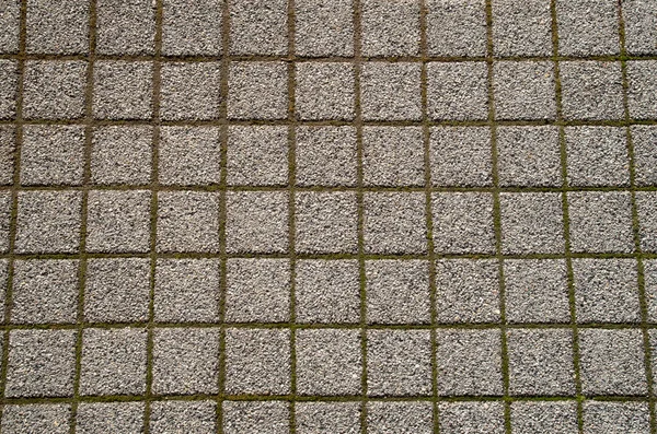 Мелкие Цементные Плитки Мхом Суставе — стоковое фото