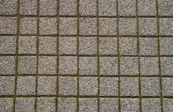Мелкие Цементные Плитки Мхом Суставе — стоковое фото