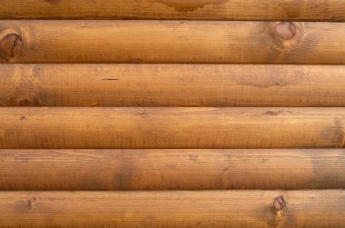 Ahşap panel doku portre