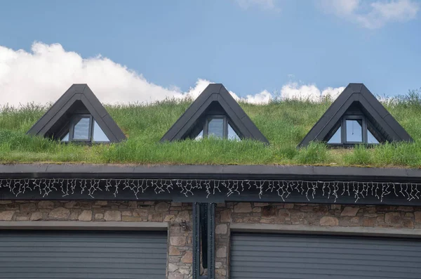 Neues Dach Mit Grünem Gras Und Dreieckigem Fenster Stockbild