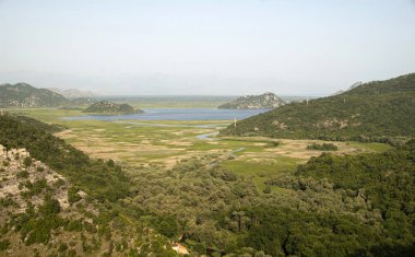 Karadağ 'daki ulusal park Skadar Gölü, Europ