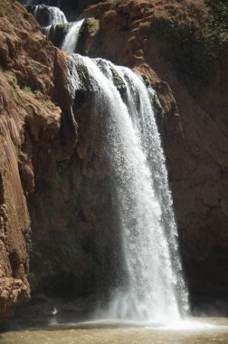 Ouzoud Falls, Fas 'ın Tanaghmeilt kentindeki Orta Atlas Köyü yakınlarında.