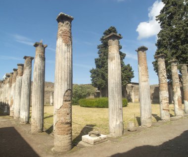 Pompeii, İtalya, Europ 'ta sütunlu ve bahçeli bir evin avlusu.