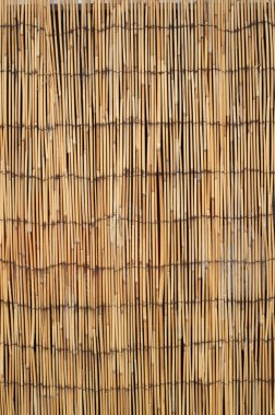 Yeni kamış dekoratif bölme u kapat