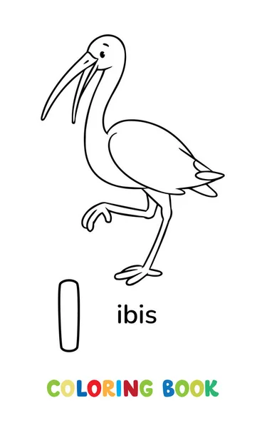 Ibis Stoi Nodze Śmieszny Ptak Zwierzęta Abc Kolorowanki Dla Dzieci — Wektor stockowy
