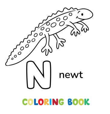 Sudaki komik semender. Çocuk vektör çizimi. Hayvanlar için ABC boyama kitabı. N harfi