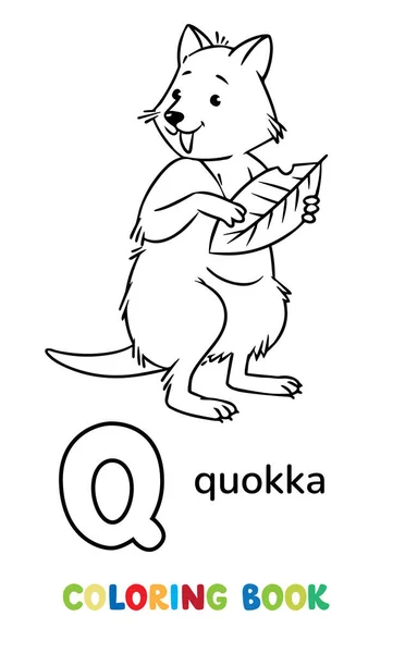 Quokka Kleine Kangoeroe Met Een Groot Blad Kinderen Vector Illustratie — Stockvector