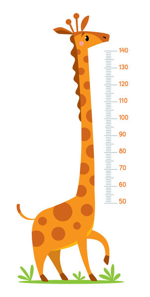 Веселый смешной жираф диаграмма высоты или метр стены или стены наклейки. Векторная иллюстрация детей с шкалой от 50 до 140 см для измерения роста