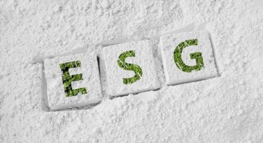 Beyaz arkaplanda esg simgeleri