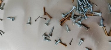 kanat fındığı beyaz arkaplanda gördü