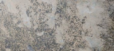 Beton duvar. Dökülmüş duvarlarda yıpranmış eski boyalar.