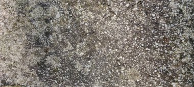 Beton duvar. Dökülmüş duvarlarda yıpranmış eski boyalar.