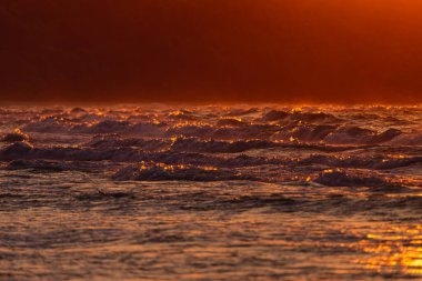 CHLAPOWO, POLAND - 3 Haziran 2023 Baltık Denizi 'nde fırtınalı dalgalar. Altın saat