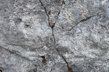 Taş dokunun fotoğrafı. Gri doğal kaya. Arka plan için mükemmel.